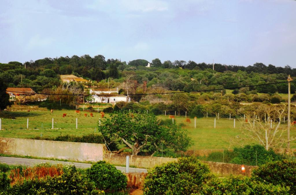 Casas Do Pomar Βίλα Λάγος Δωμάτιο φωτογραφία